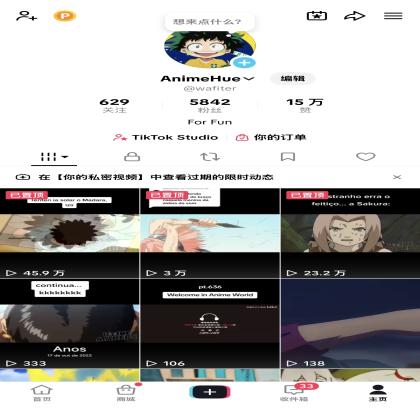 TikTok，用户名: wafiter，5000+粉丝，15万赞，开了LIVE Studio，巴西