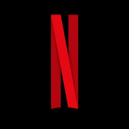 Netflix 4K 共享 1 个月 质保 25 天